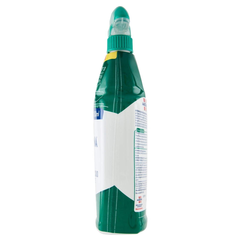 Amuchina Senza Risciacquo Igienizzante 750 ml
